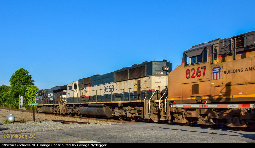 PRLX 9558